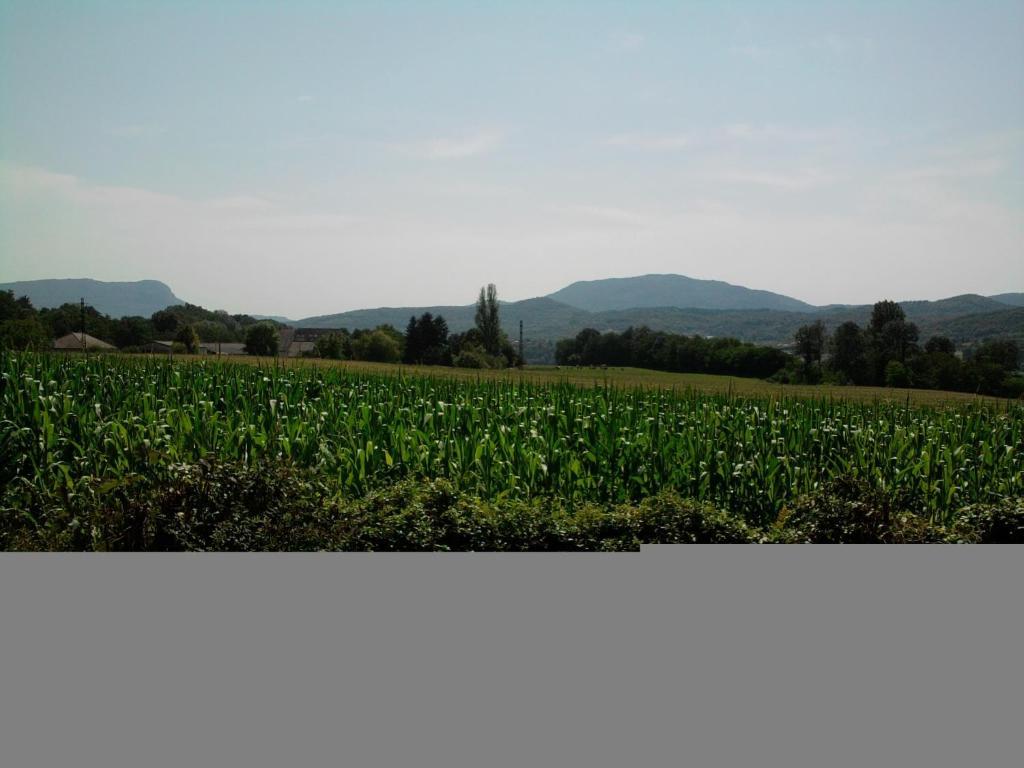 Chambres D'Hotes La Prairie Belley Oda fotoğraf